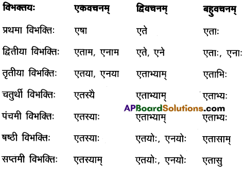 AP Inter 2nd Year Sanskrit Grammar शब्दरूपाणि 18