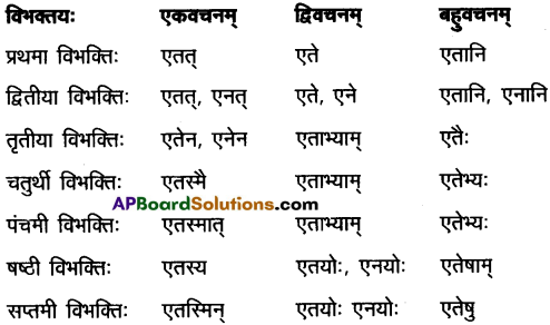 AP Inter 2nd Year Sanskrit Grammar शब्दरूपाणि 19