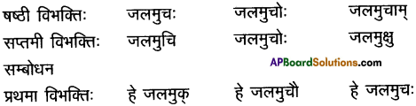 AP Inter 2nd Year Sanskrit Grammar शब्दरूपाणि 2