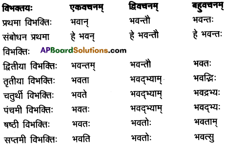 AP Inter 2nd Year Sanskrit Grammar शब्दरूपाणि 4