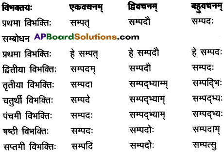 AP Inter 2nd Year Sanskrit Grammar शब्दरूपाणि 9