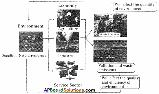 AP Inter 2nd Year Economics Important Questions Chapter 8 Environment and Sustainable Economic Development 3