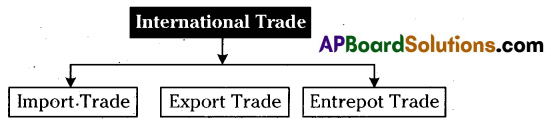 AP Inter 2nd Year Commerce Important Questions Chapter 2 Domestic and International Trade 2