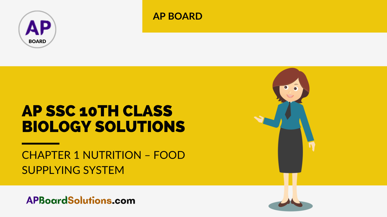 AP SSC 10th Class Biology Solutions Chapter 1 Nutrition – Food Supplying System
