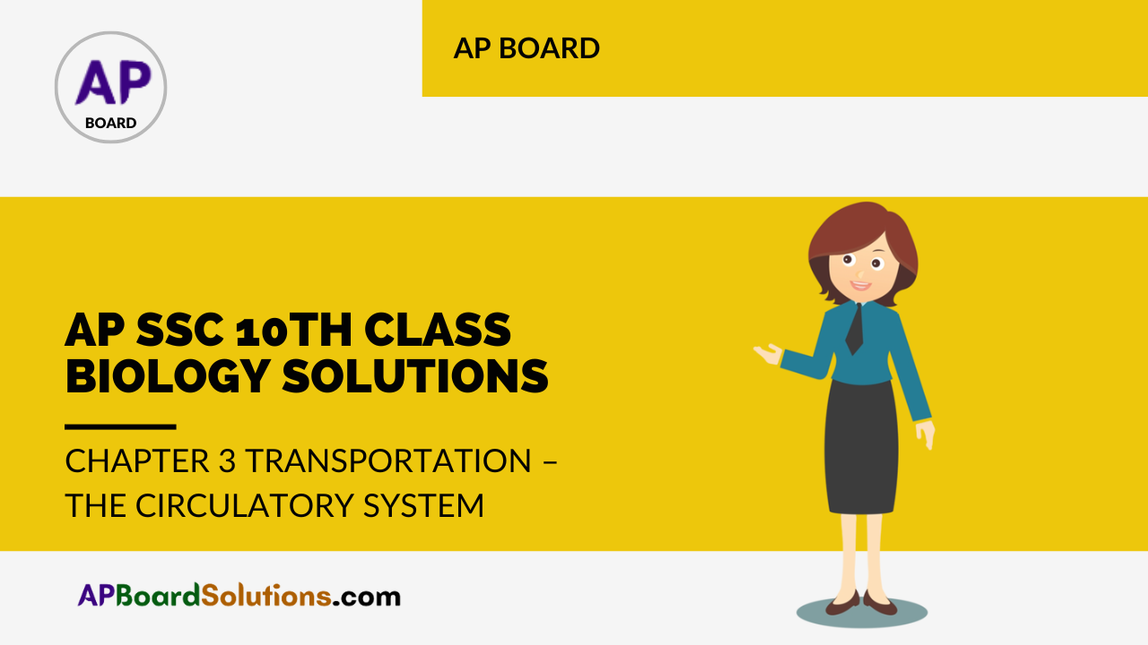 AP SSC 10th Class Biology Solutions Chapter 3 Transportation – The Circulatory System