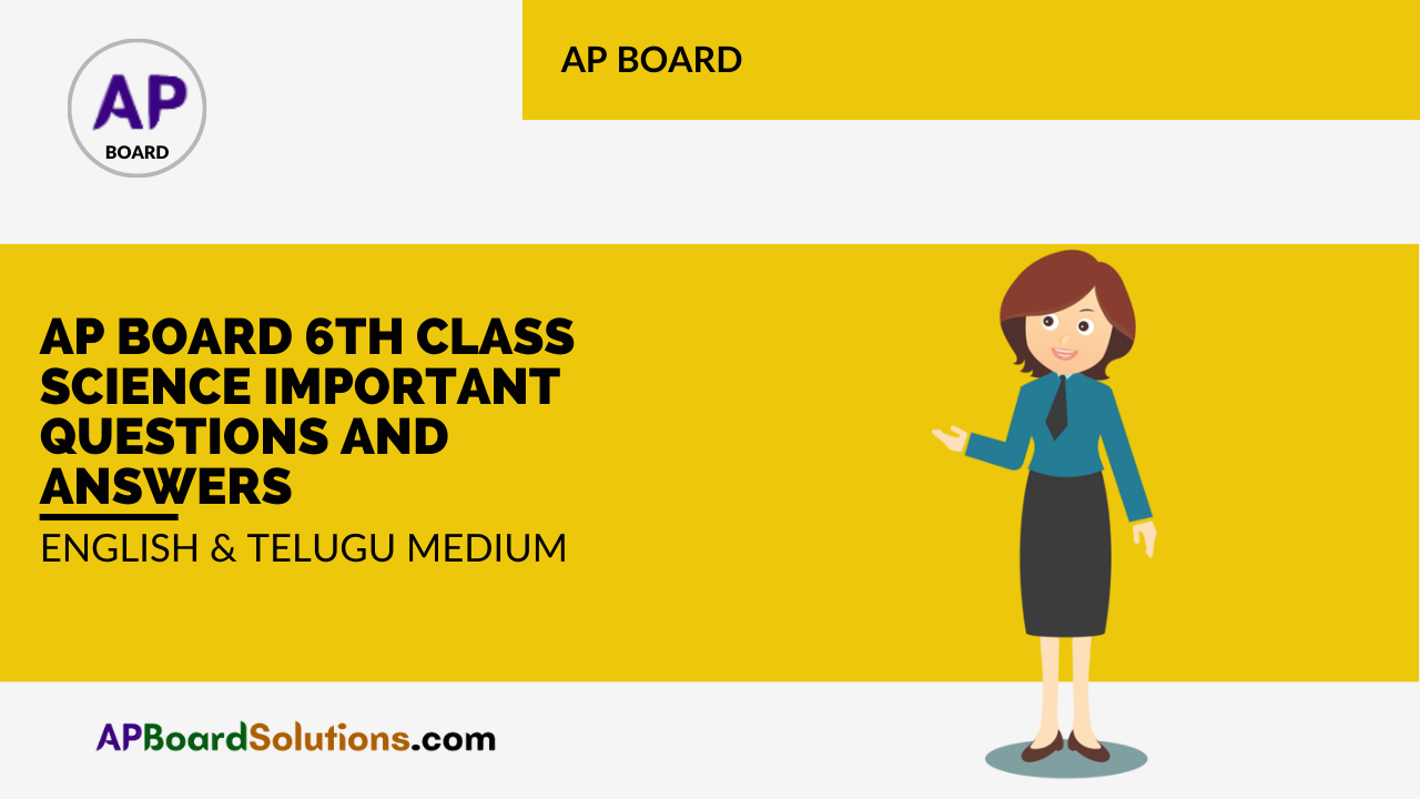 AP Board 6th Class Science Important Questions and Answers English & Telugu Medium