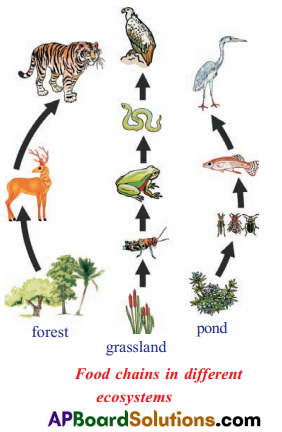 TS 10th Class Biology Important Questions 9th Lesson Our Environment 6