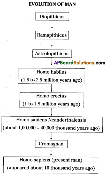 TS 10th Class Biology Study Material 8th Lesson Heredity and Evolution 13