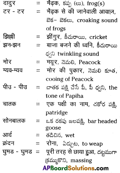 TS 10th Class Hindi Guide 1st Lesson बरसते बादल 2