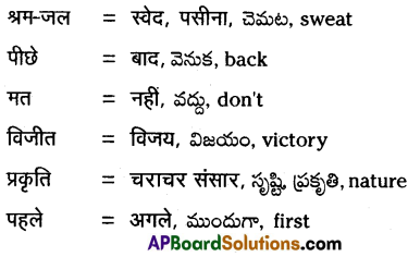 TS 10th Class Hindi Guide 4th Lesson कण-कण का अधिकारी 4