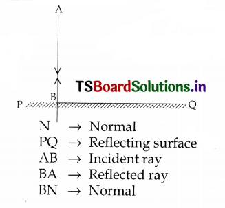 TS 8th Class Physical Science Study Material 6th Lesson Reflection of Light at Plane Surfaces 1