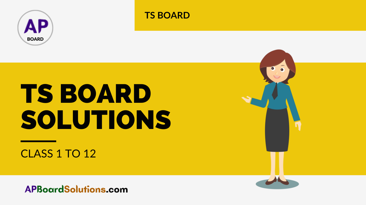 TS Board Solutions