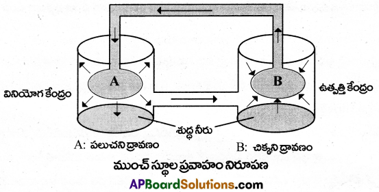 AP Inter 2nd Year Botany Important Questions Chapter 1 మొక్కలలో రవాణా 1