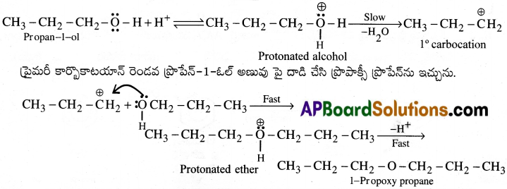 AP Inter 2nd Year Chemistry Important Questions Chapter 12(a) ఆల్కహాల్స్, ఫినాల్స్ మరియు ఈథర్స్ 43