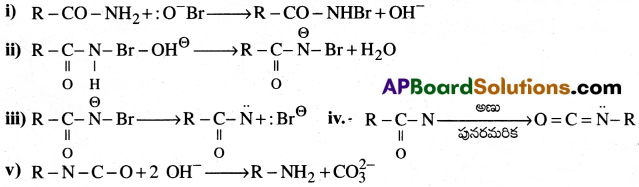 AP Inter 2nd Year Chemistry Important Questions Chapter 13 నైట్రోజన్లో ఉన్న కర్బన సమ్మేళనాలు 33