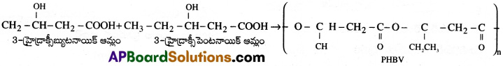 AP Inter 2nd Year Chemistry Important Questions Chapter 8 పాలిమర్ లు 7