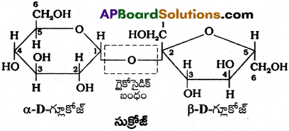 AP Inter 2nd Year Chemistry Important Questions Chapter 9 జీవాణువులు 17