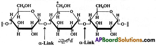 AP Inter 2nd Year Chemistry Important Questions Chapter 9 జీవాణువులు 20