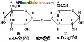 AP Inter 2nd Year Chemistry Important Questions Chapter 9 జీవాణువులు 27