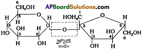 AP Inter 2nd Year Chemistry Important Questions Chapter 9 జీవాణువులు 8