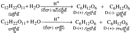AP Inter 2nd Year Chemistry Important Questions Chapter 9 జీవాణువులు 9