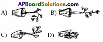 TS 10th Class Biology Bits 5th Lesson Coordination 5