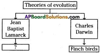 TS 10th Class Biology Bits 8th Lesson Heredity and Evolution 3