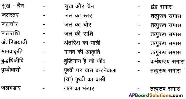 TS 10th Class Hindi Guide 11th Lesson जल ही जीवन है 2