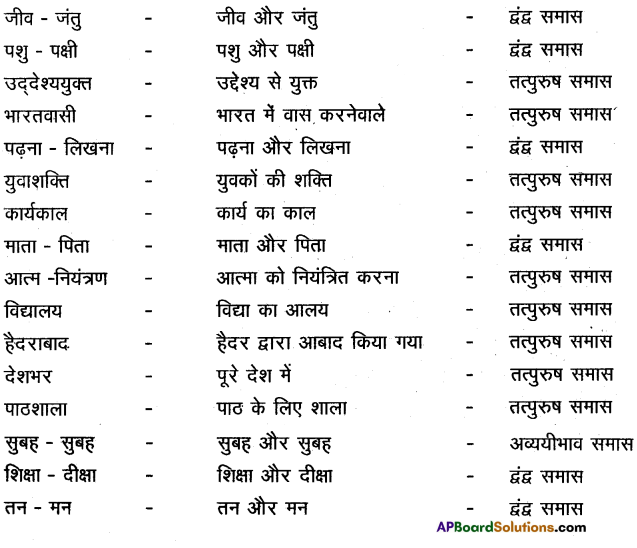 TS 10th Class Hindi Guide 12th Lesson धरती के सवाल अंतरिक्ष के जवाब 2