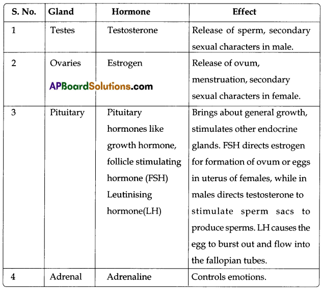 TS 8th Class Biology Study Material 5th Lesson The Age of Adolescence 4