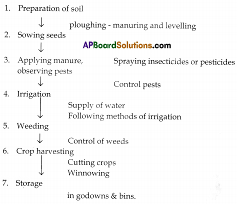 TS 8th Class Biology Study Material 8th Lesson Production of Food from Plants 10