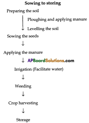 TS 8th Class Biology Study Material 8th Lesson Production of Food from Plants 2
