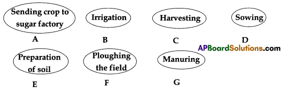 TS 8th Class Biology Study Material 8th Lesson Production of Food from Plants 3