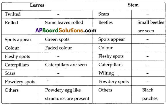 TS 8th Class Biology Study Material 8th Lesson Production of Food from Plants 9