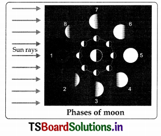 TS 8th Class Physical Science Important Questions 11th Lesson Stars and the Solar System 11