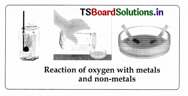 TS 8th Class Physical Science Important Questions 4th Lesson Synthetic Fibres and Plastics 8