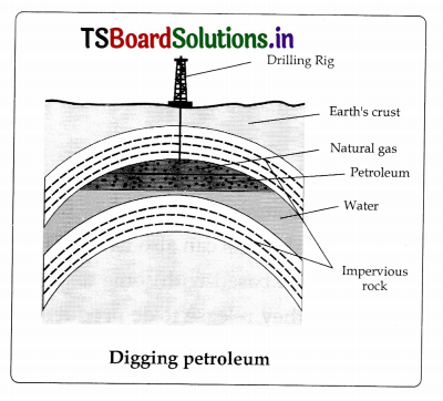 TS 8th Class Physical Science Important Questions 7th Lesson Coal and Petroleum 5