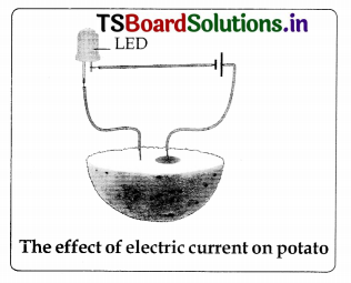 TS 8th Class Physical Science Important Questions 9th Lesson Electrical Conductivity of Liquids 3
