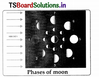 TS 8th Class Physical Science Study Material 11th Lesson Stars and the Solar System 12