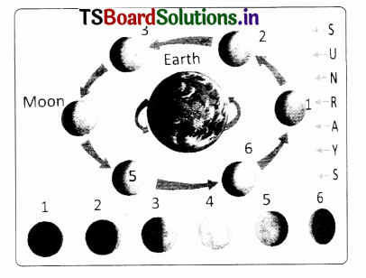 TS 8th Class Physical Science Study Material 11th Lesson Stars and the Solar System 13