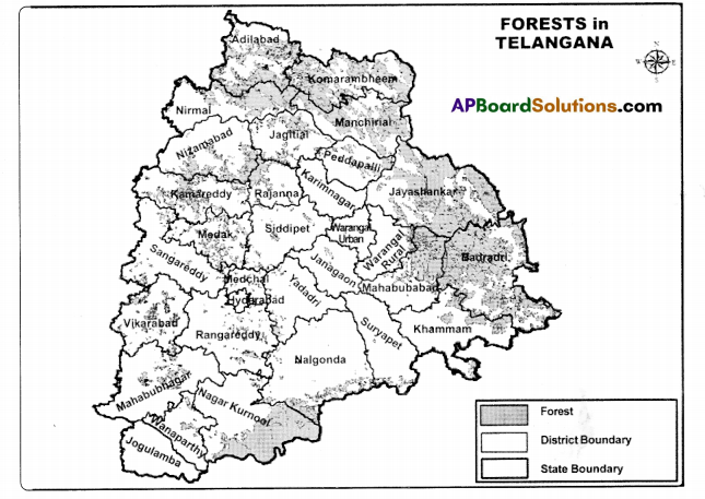 TS 8th Class Social Study Material 5th Lesson Forests Using and Protecting 1
