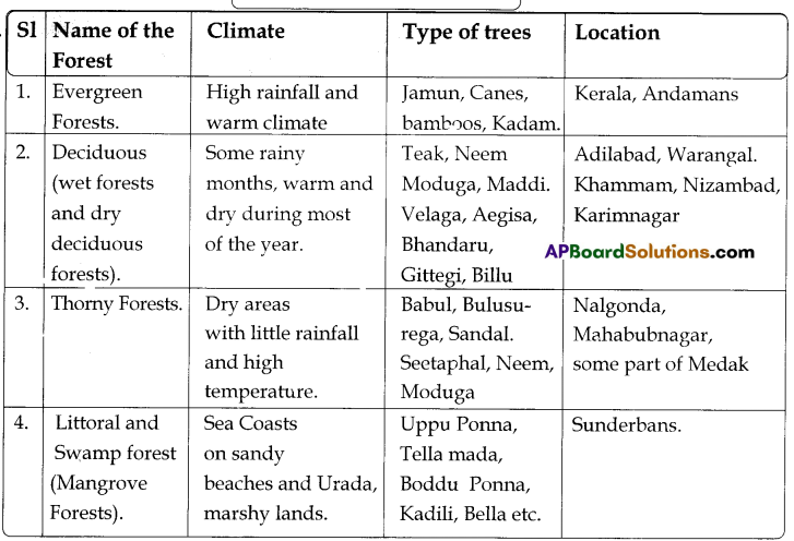 TS 8th Class Social Study Material 5th Lesson Forests Using and Protecting 5