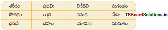 TS 8th Class Telugu Guide 10th Lesson సింగరేణి 2