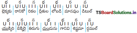 TS 8th Class Telugu Guide 11th Lesson కాపుబిడ్డ 3
