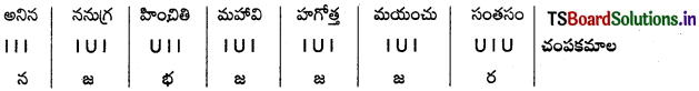 TS 8th Class Telugu Guide 1st Lesson త్యాగనిరతి 1