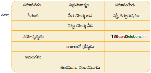 TS 8th Class Telugu Guide 7th Lesson మంజీర 3