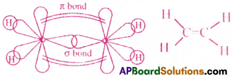 AP Inter 1st Year Chemistry Important Questions Chapter 3 Chemical Bonding and Molecular Structure 11