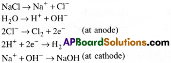 AP Inter 1st Year Chemistry Important Questions Chapter 9 The s-Block Elements 13