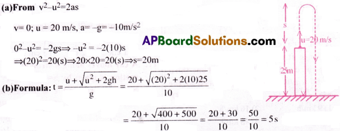 AP Inter 1st Year Physics Important Questions Chapter 3 Motion in a Straight Line 21