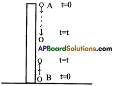 AP Inter 1st Year Physics Important Questions Chapter 3 సరళరేఖాత్మక గమనం 12